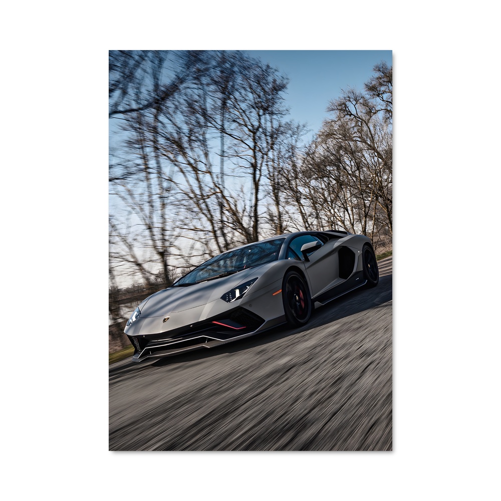 Poster Aventador ultimae